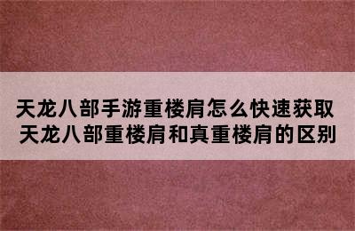 天龙八部手游重楼肩怎么快速获取 天龙八部重楼肩和真重楼肩的区别